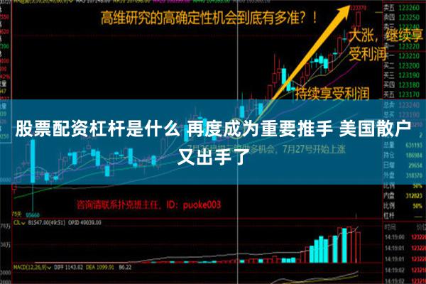 股票配资杠杆是什么 再度成为重要推手 美国散户又出手了