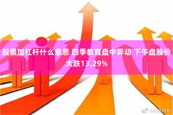 股票加杠杆什么意思 四季教育盘中异动 下午盘股价大跌13.29%