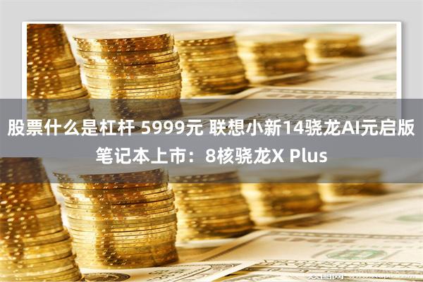 股票什么是杠杆 5999元 联想小新14骁龙AI元启版笔记本上市：8核骁龙X Plus